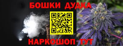 apvp Канаш