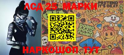 2c-b Камышлов