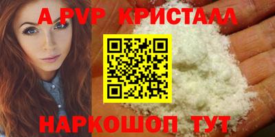 apvp Канаш