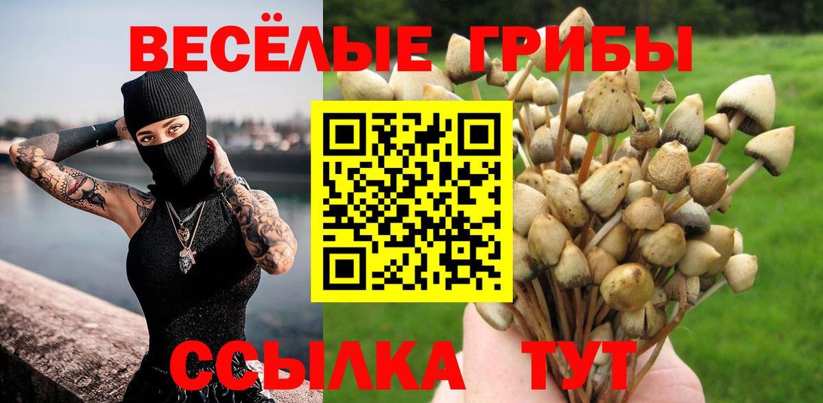 Псилоцибиновые грибы мицелий Лениногорск
