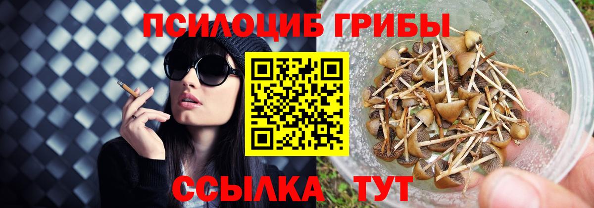 Псилоцибиновые грибы Magic Shrooms  как найти закладки  Галлюциногенные грибы Psilocybine cubensis  Лениногорск  Вход с VPN 